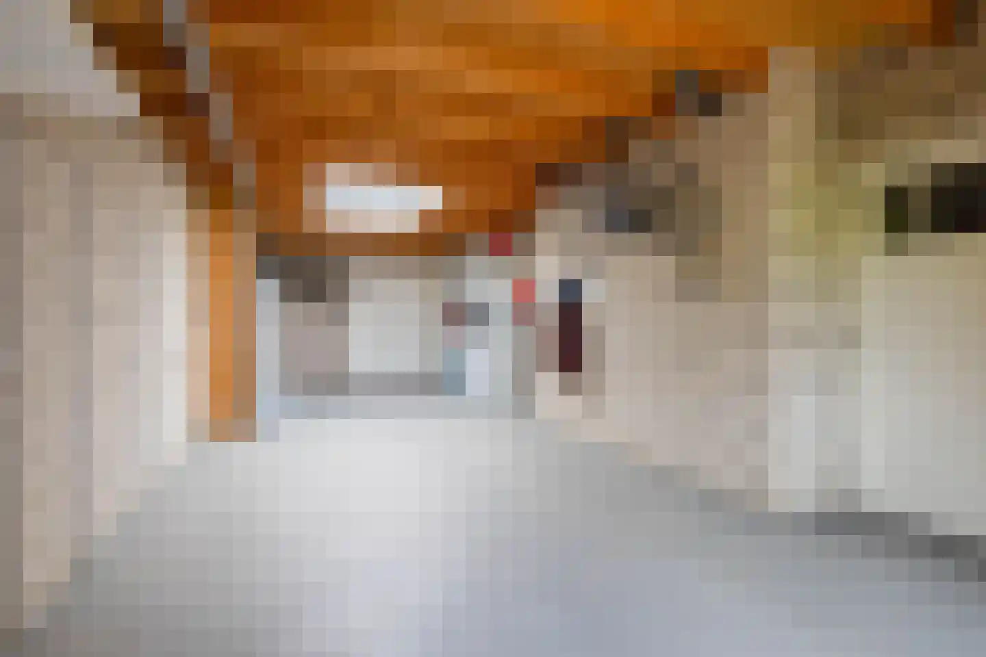 Bosbergstraat 39 Lomm thumbnail 28