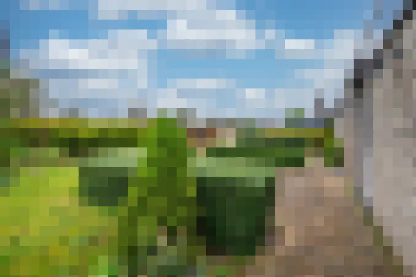 Bosbergstraat 8 Lomm thumbnail 23