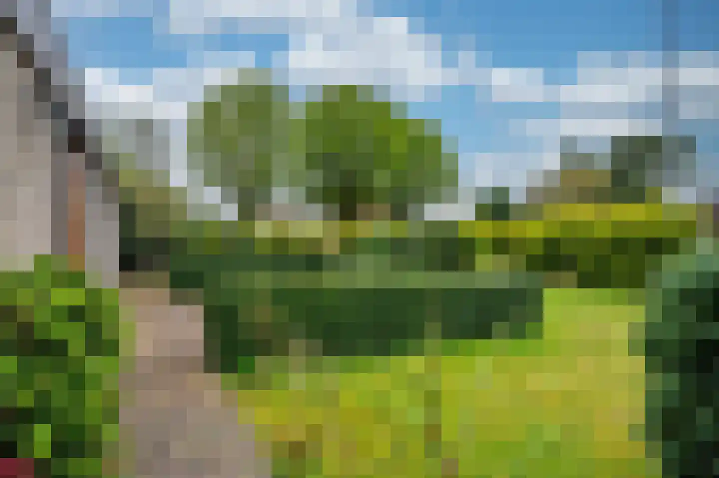 Bosbergstraat 8 Lomm thumbnail 24