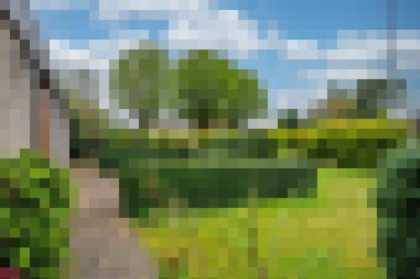 Bosbergstraat 8 Lomm thumbnail 26