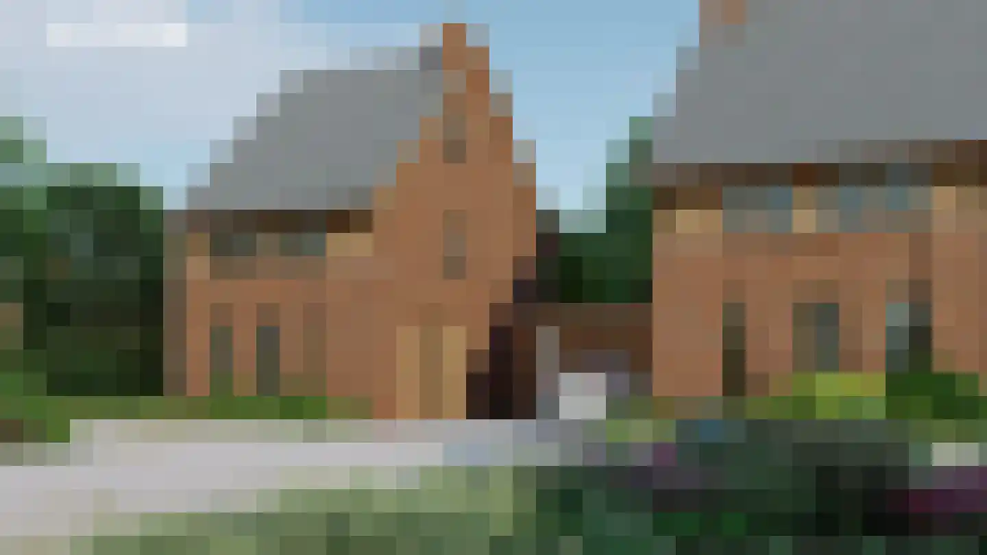 Bosbes 1 Someren