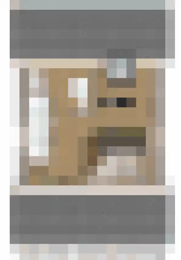 Bosbes 1 Someren thumbnail 13
