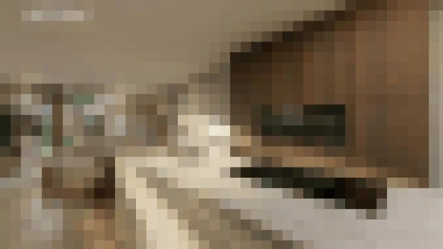 Bosbes 11 Someren thumbnail 10