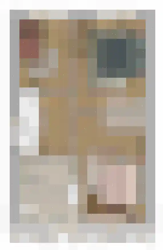 Bosbes 11 Someren thumbnail 12