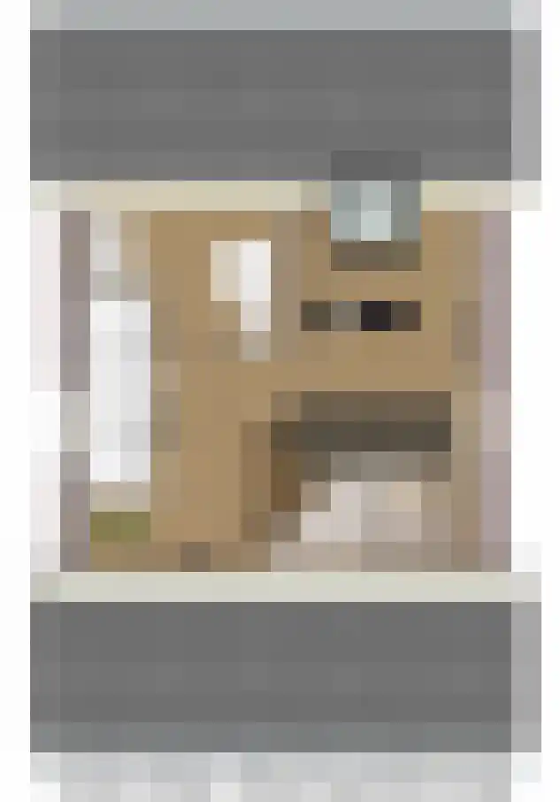 Bosbes 11 Someren thumbnail 13