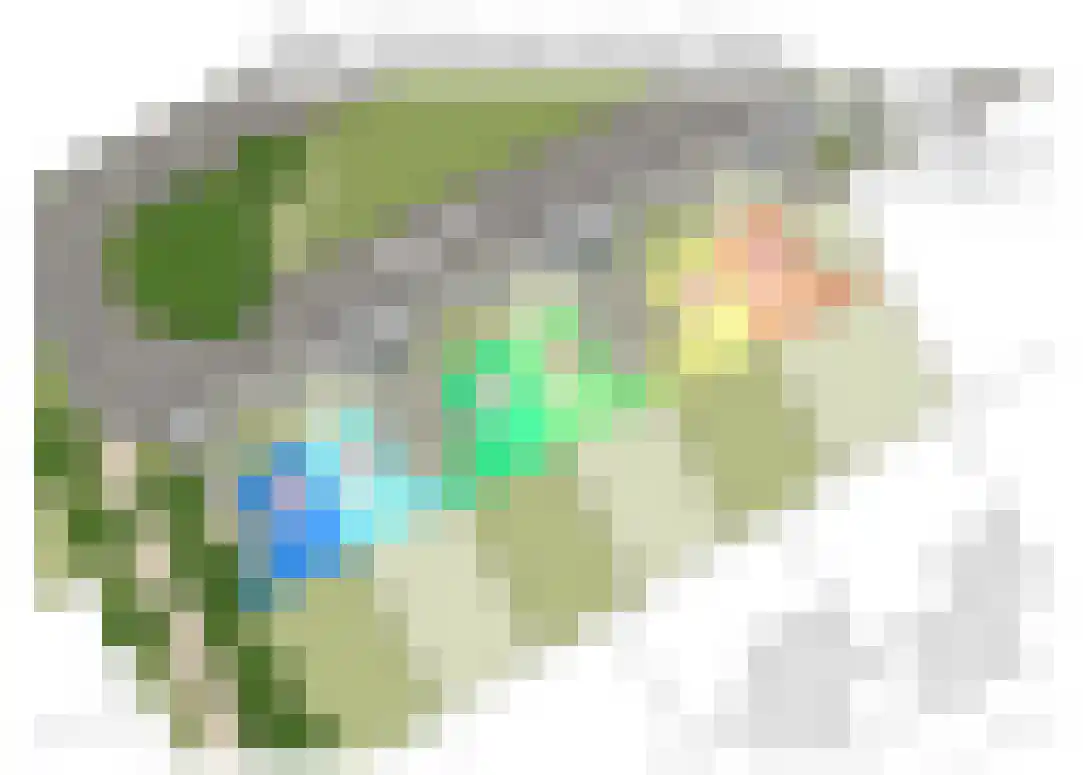 Bosbes 11 Someren thumbnail 14