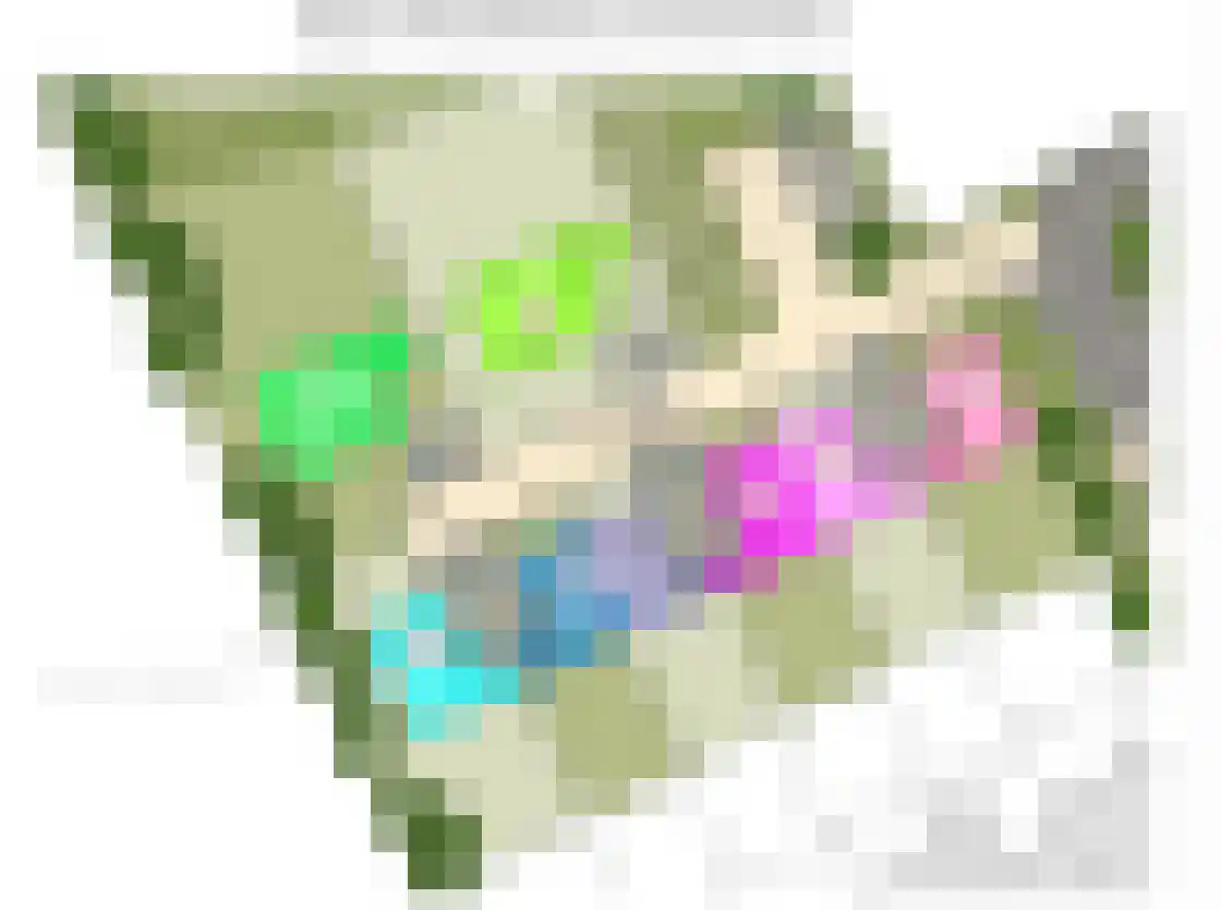 Bosbes 11 Someren thumbnail 15