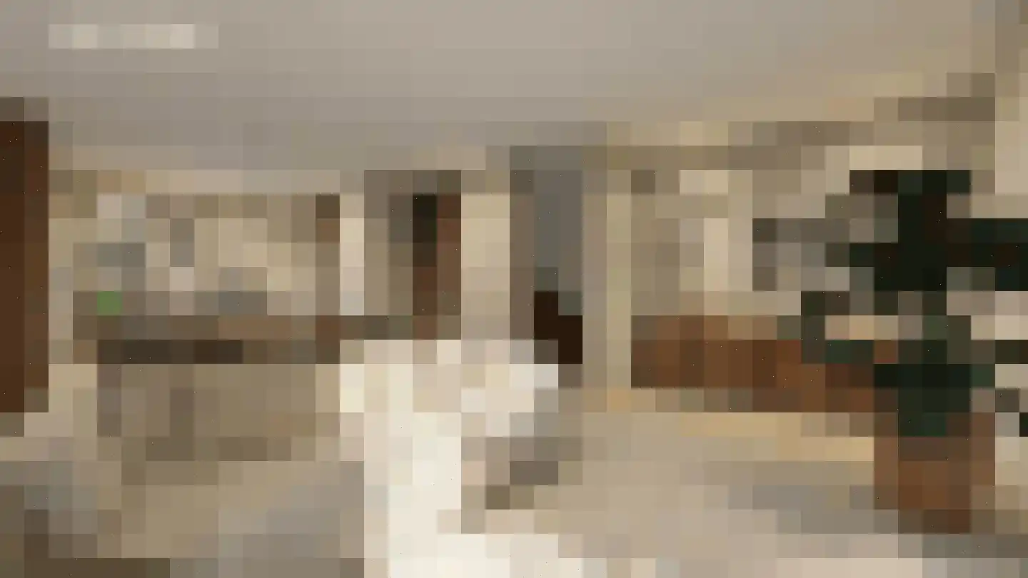 Bosbes 11 Someren thumbnail 5