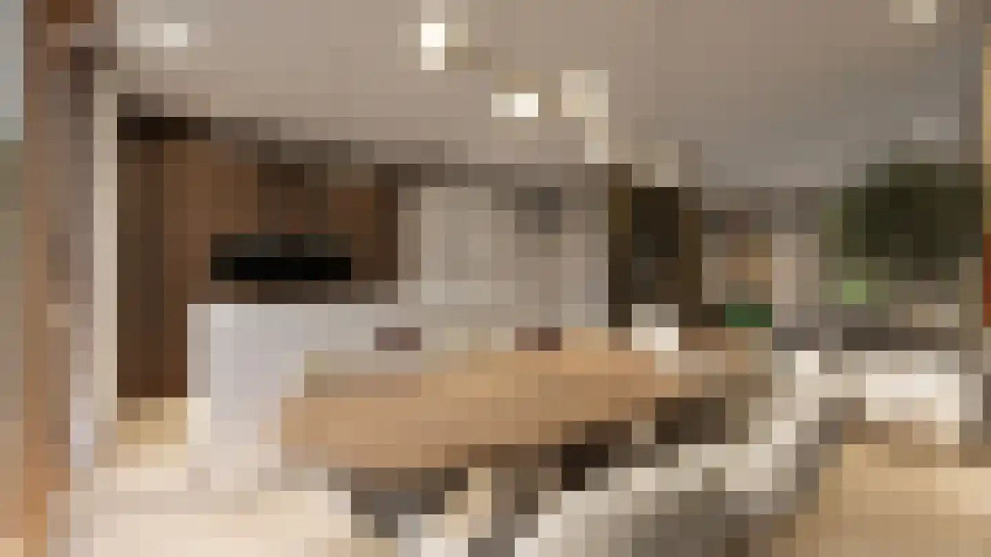 Bosbes 11 Someren thumbnail 6