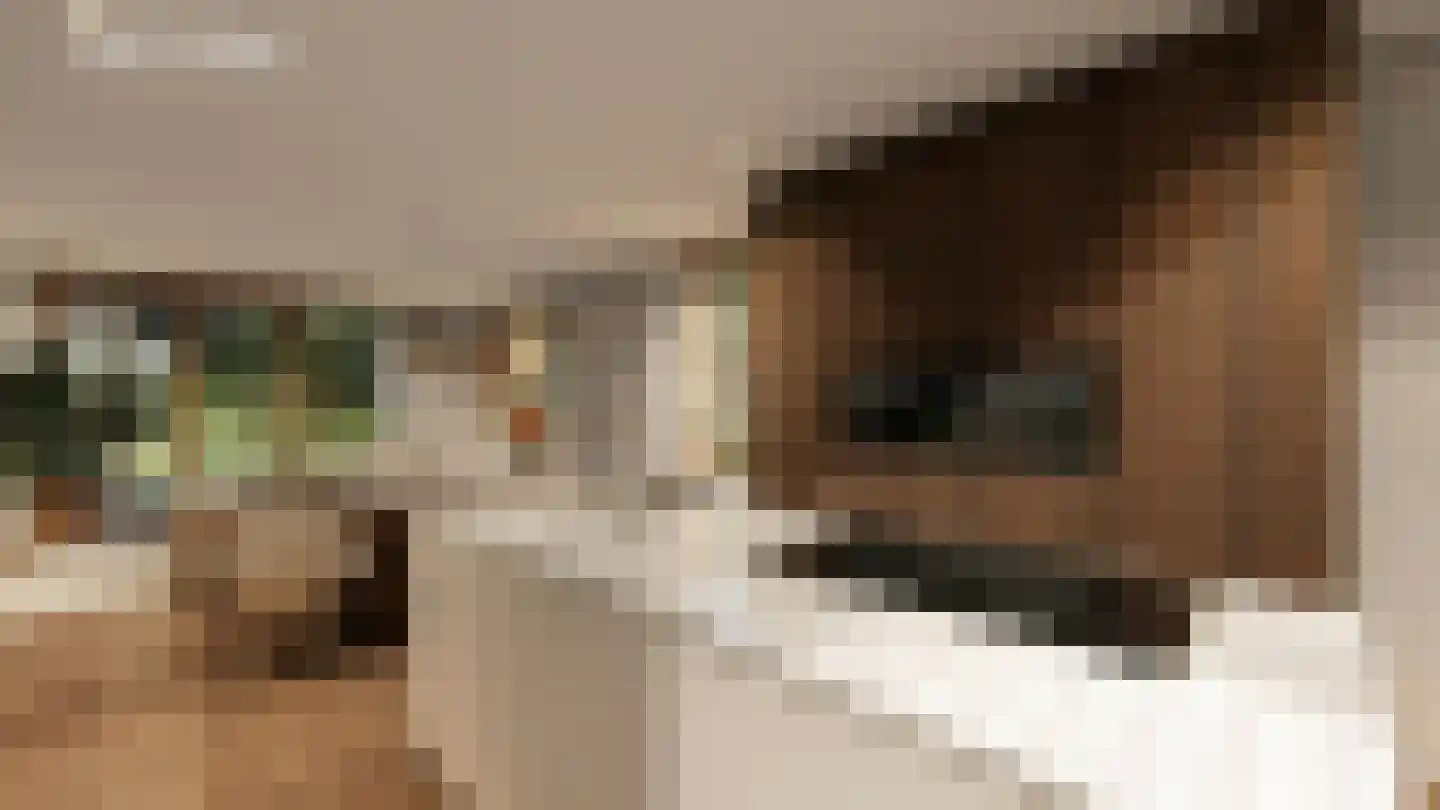 Bosbes 11 Someren thumbnail 8