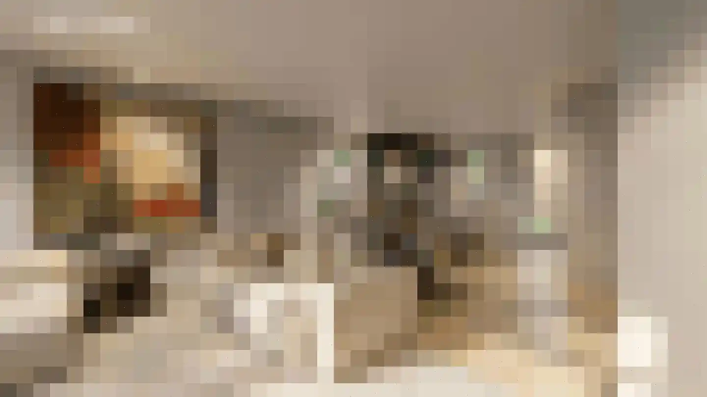 Bosbes 11 Someren thumbnail 9