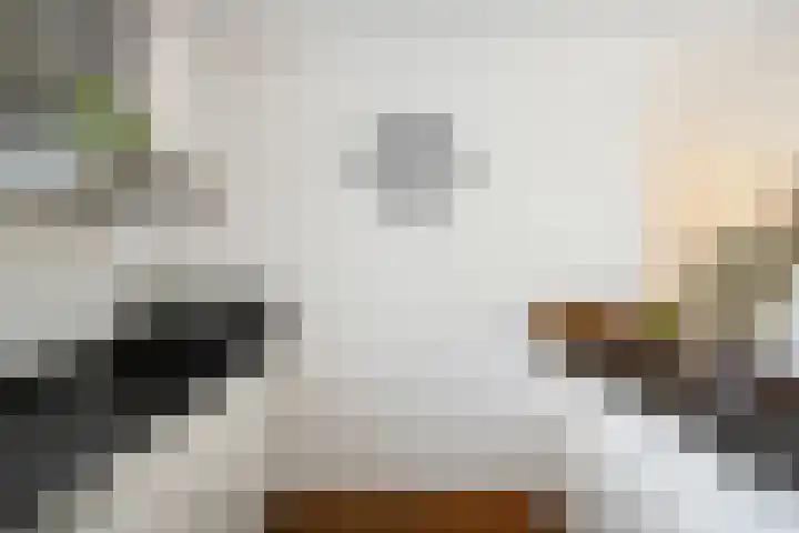 Bosbes 12 Rotterdam thumbnail 10