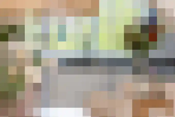 Bosbes 12 Rotterdam thumbnail 11