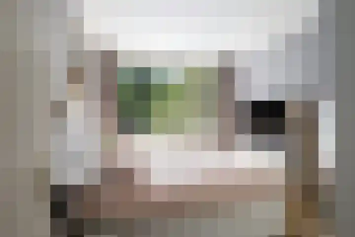 Bosbes 12 Rotterdam thumbnail 12