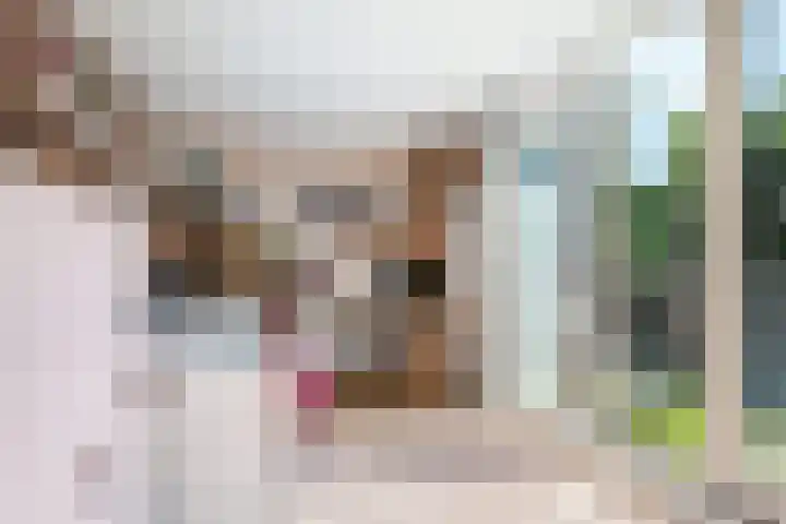Bosbes 12 Rotterdam thumbnail 14
