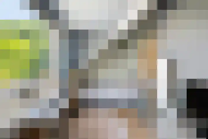 Bosbes 12 Rotterdam thumbnail 15