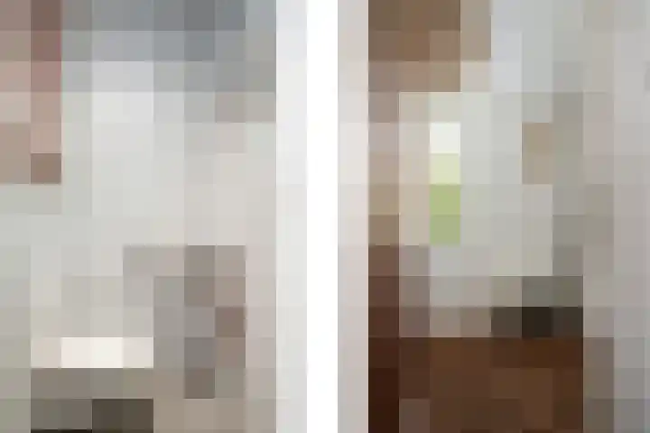 Bosbes 12 Rotterdam thumbnail 21