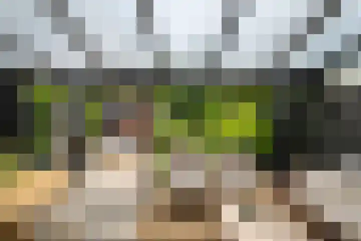 Bosbes 12 Rotterdam thumbnail 22