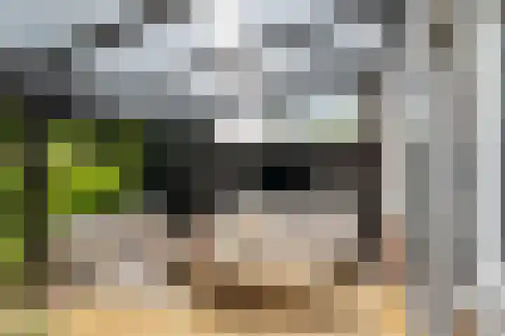 Bosbes 12 Rotterdam thumbnail 23