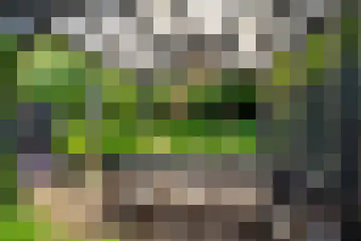 Bosbes 12 Rotterdam thumbnail 24