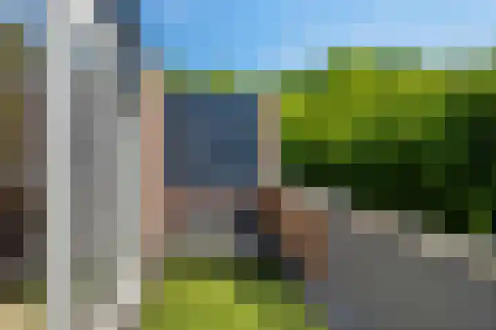 Bosbes 12 Rotterdam thumbnail 26