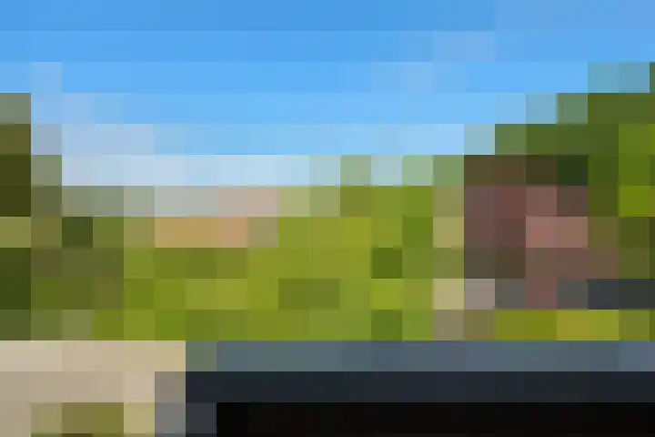 Bosbes 12 Rotterdam thumbnail 28