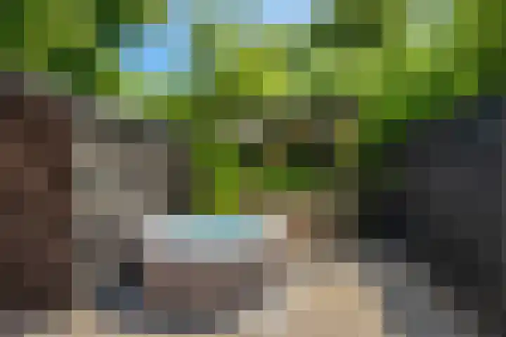 Bosbes 12 Rotterdam thumbnail 30