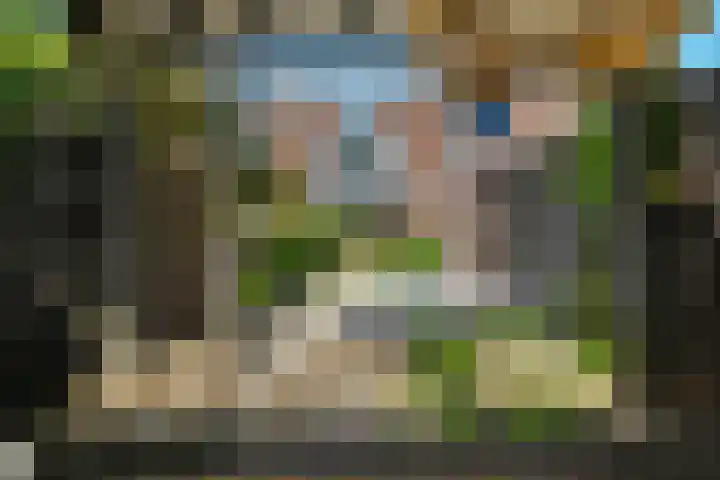 Bosbes 12 Rotterdam thumbnail 31