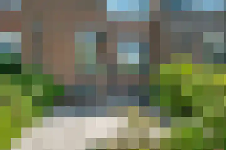 Bosbes 12 Rotterdam thumbnail 35