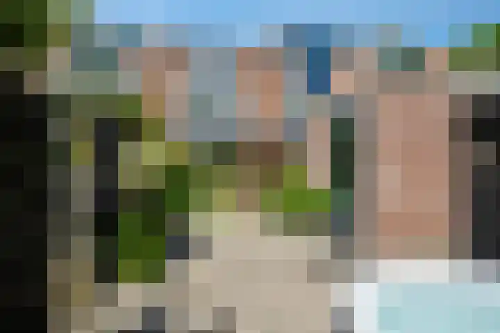 Bosbes 12 Rotterdam thumbnail 36