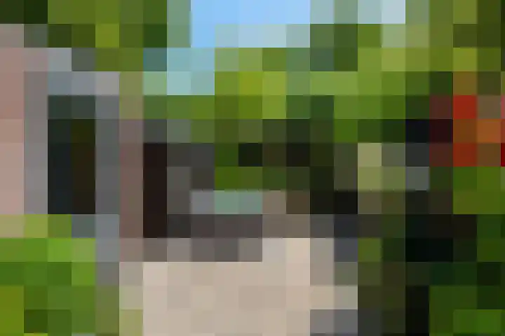 Bosbes 12 Rotterdam thumbnail 38