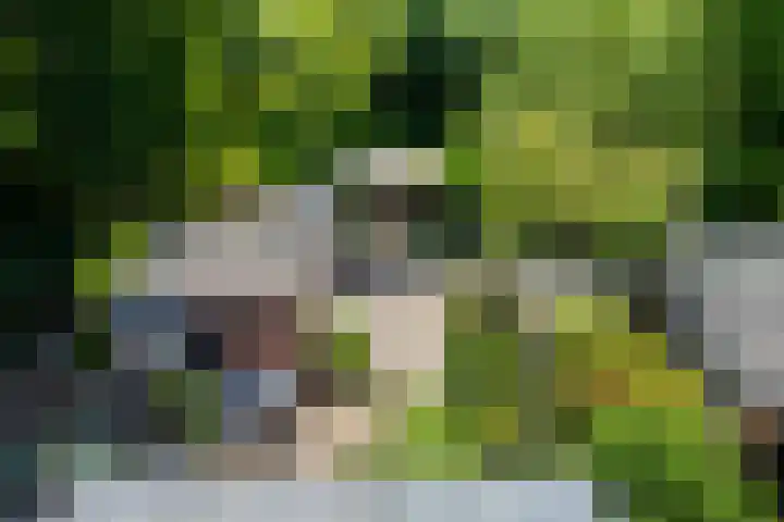 Bosbes 12 Rotterdam thumbnail 39