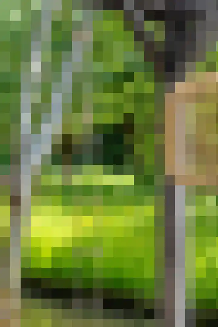 Bosbes 12 Rotterdam thumbnail 41