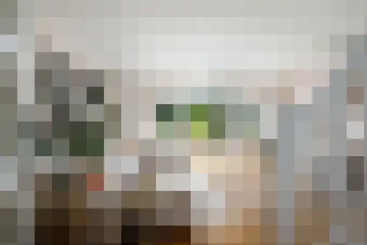 Bosbes 12 Rotterdam thumbnail 5
