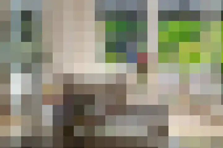 Bosbes 12 Rotterdam thumbnail 7