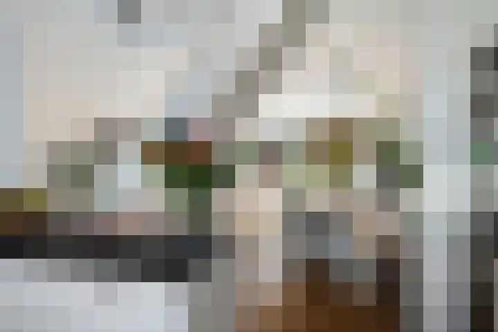 Bosbes 12 Rotterdam thumbnail 8
