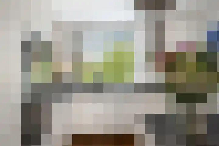 Bosbes 12 Rotterdam thumbnail 9