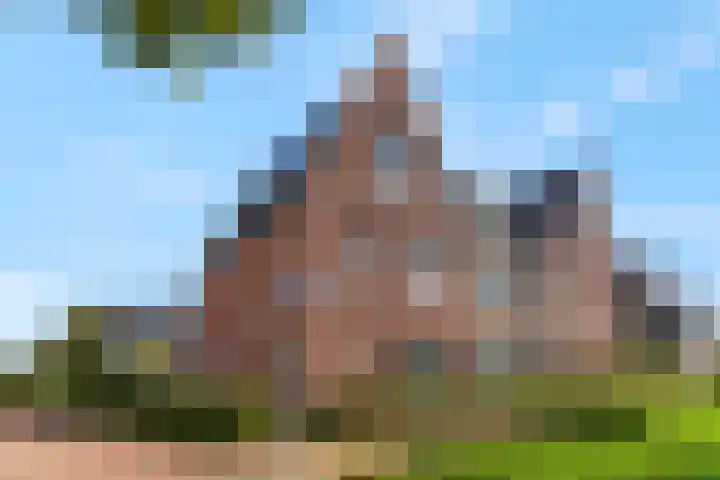 Bosbes 2 en Nijkerk