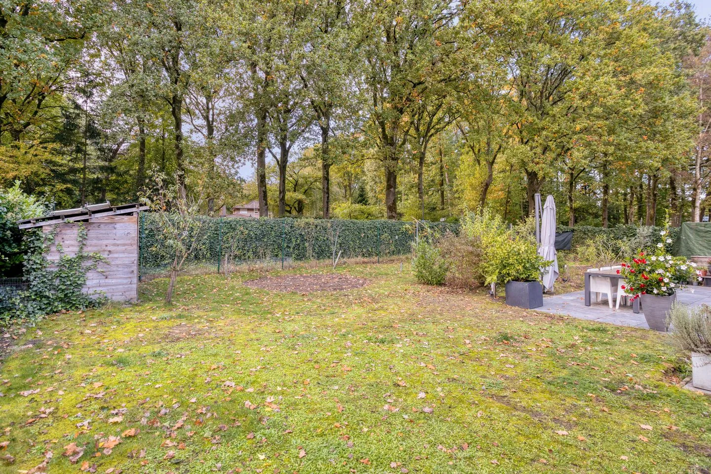 Bosbes 2 Helmond thumbnail 52