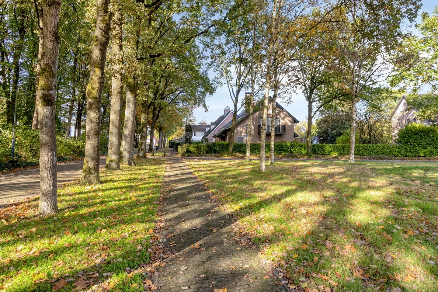 Bosbes 2 Helmond thumbnail 58