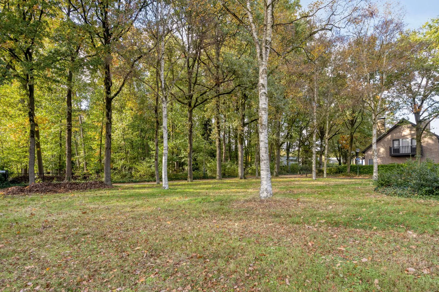 Bosbes 2 Helmond thumbnail 59