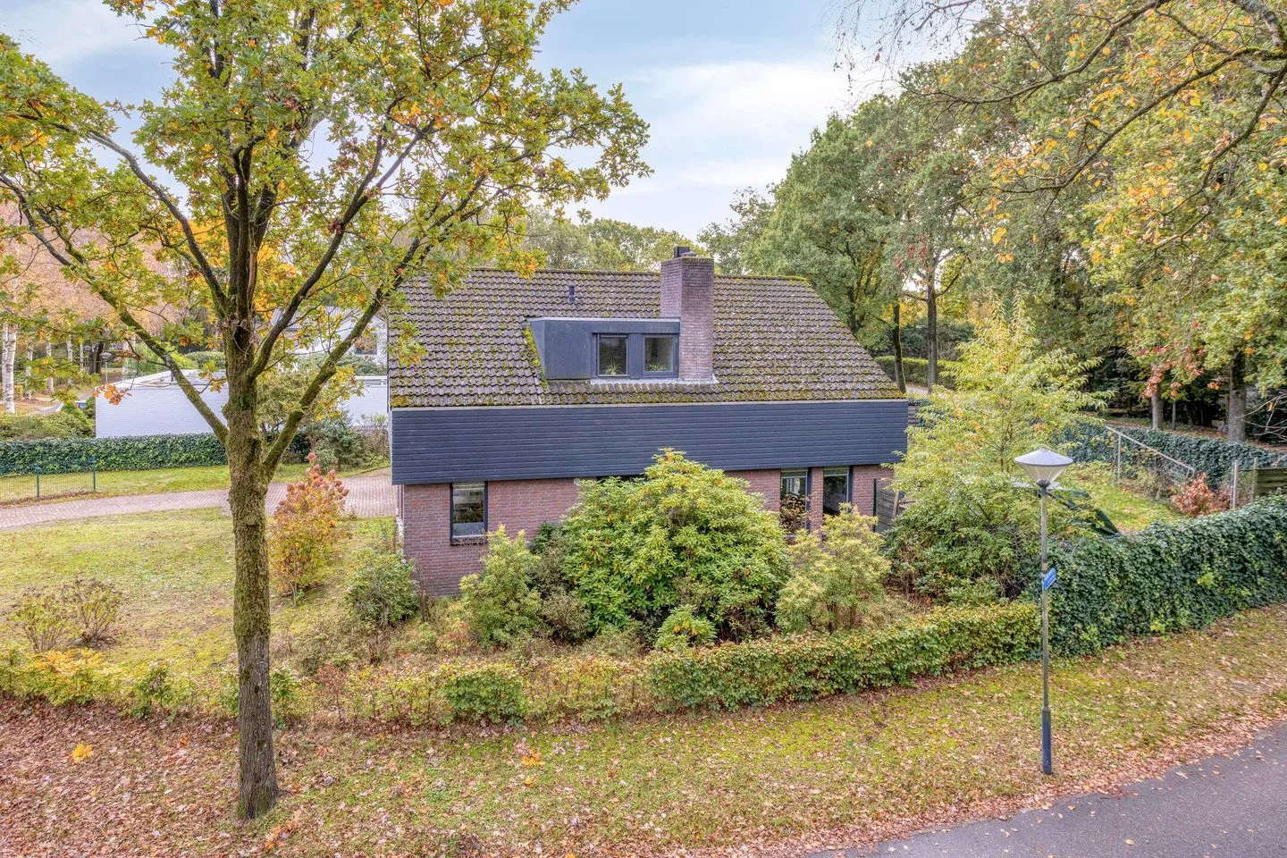 Bosbes 2 Helmond thumbnail 8
