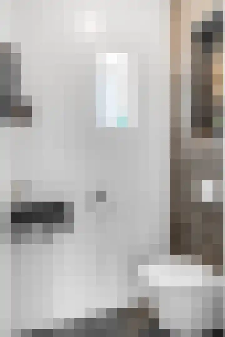 Bosbes 2 Nijkerk thumbnail 11