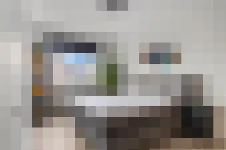 Bosbes 2 Nijkerk thumbnail 12