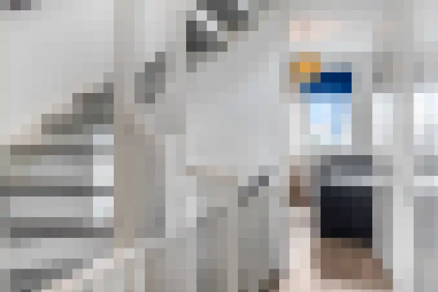Bosbes 2 Nijkerk thumbnail 22