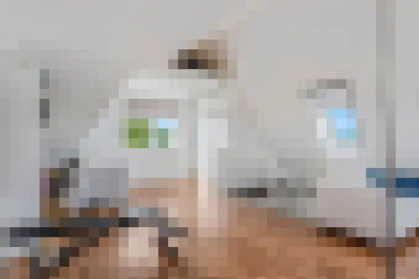 Bosbes 2 Nijkerk thumbnail 24