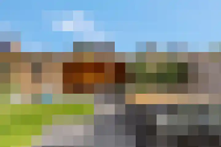 Bosbes 2 Nijkerk thumbnail 25