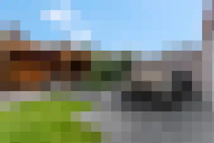 Bosbes 2 Nijkerk thumbnail 26