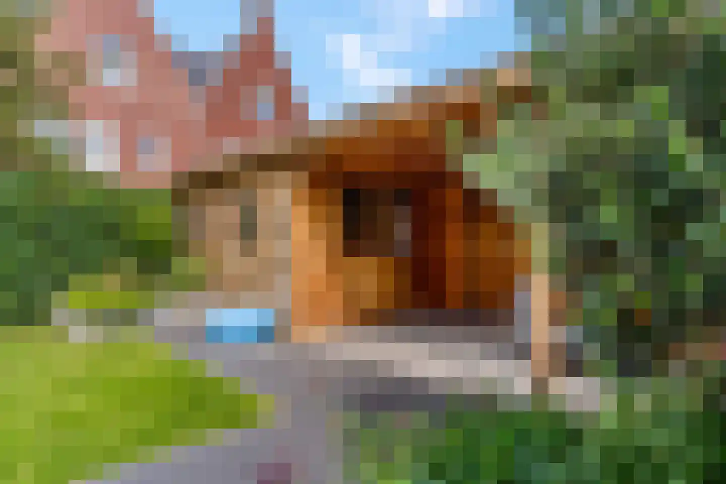 Bosbes 2 Nijkerk thumbnail 27