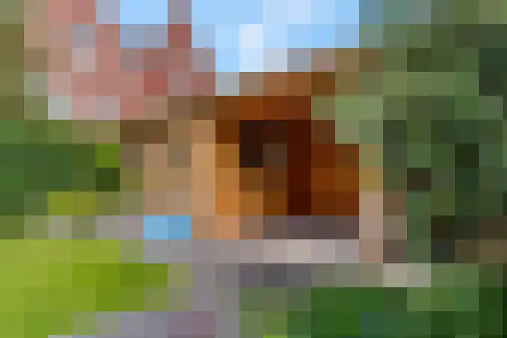 Bosbes 2 Nijkerk thumbnail 27